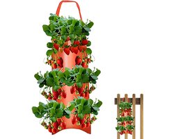 1 Hangende plantenbak - 60×25cm - 10 openingen - Ontworpen voor het kweken van fruit en groenten in de achtertuin - Geschikt voor groenten, bloemen en paprika's - Oranje