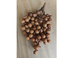 1 kg Robuuste natuurlijke decoratie - Rotan fruit - boho style - 100% natuurlijk - rustieke uitstraling - decoratie - interieur - etalage - bloemstuk -