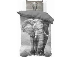 1-persoons dekbedovertrek (dekbed hoes) antraciet grijs met levensgrote olifant in de wilde natuur (fotoprint elephant in Afrika) KATOEN eenpersoons 140 x 220 cm (natuurprint dieren slaapkamer / rustig beddengoed!)