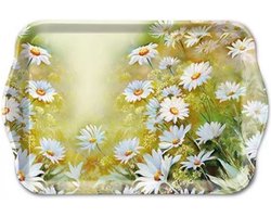1 persoons dienblaadje - ambiente - tray - melamine - dienblad - facing the sun