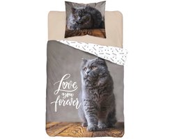 1-persoons kinder dekbedovertrek (dekbed hoes) grijs met lieve poes / kat / kater / kitten op een houten plank (tafel) KATOEN eenpersoons 140 x 200 cm (dieren beddengoed kinderkamer, Sint & Kerst cadeau!)