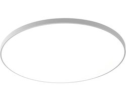 1 stuk - Volledig spectrum LED-plafondlamp - Ultradun en drievoudig waterdicht - Ronde armatuur - Geschikt voor keuken, badkamer en balkon - 23*23*2 cm - Geschikt voor gebruik in badkamers, slaapkamers, keukens en gangen - Wit