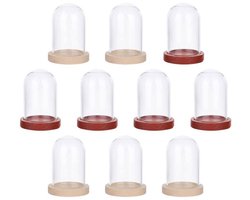 10 sets mini glazen stolpen met transparante koepel en houten basis in 2 kleuren, 3,8 x 2,5 cm, ideaal voor het tentoonstellen van planten, stenen en decoraties