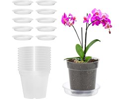 10 Stuk Transparante Orchidee Potten met Gaten - 11.5cm Plastic Kweekpotten - Herbruikbare Binnenpotten voor Buiten en Balkons