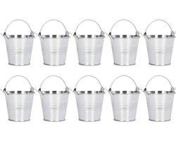 10 Stuks Mini IJzeren Emmer Succulente Planten Potten - Binnen en Buiten Decoratie - Zilverkleurig - Tuinieren - Bloempot