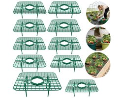 10 stuks plantenstandaards - Aardbeienstandaard - Plantenbakstandaard - Tomatenstandaard tegen omvallen - Vierkante plantenstandaard - Demonteerbaar, monteerbaar - Voor tomaten, aardbeien, aubergines (groen - 20*25 cm)