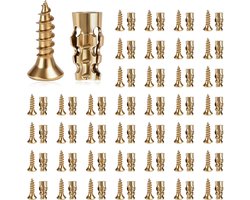 100 St Expansieschroef Scharnier Reparatie Kast Set, Gestripte Draad Restauratie Anker Voor Deur Bevestiging, Hout Tegel Steen Beton Toepassing, 6 X 14 Mm Korte Schroeven Met Pluggen