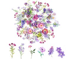 100 Transparante Plant Stickers - 100 Stuks Vintage Bloemen Stickers voor Scrapbooking, Fotoalbums en Kaarten