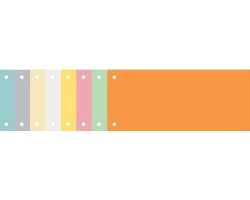 100 x Exacompta Scheidingsstroken recht 240 x 105 mm assorti