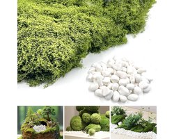 100g Kunstmos en 250g Tuinstenen, Geurloos en Kleurvast Behouden Mos voor Decoratie, Natuurlijke Faux Mos voor Binnen en Buiten, Perfect voor DIY Projecten en Tuinaccessoires