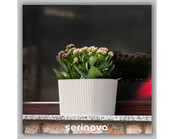 1+1 ovale bloempot - beige sierpot met wateropvang - 30cm - bloembak