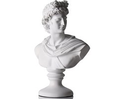 11,8 inch Grieks standbeeld van David - klassieke Romeinse buste voor Apollo - grote Griekse mythologie sculptuur voor woondecoratie - vintage hoofd Apollo sculptuur voor donkere academische wereld - decoratieve kunst