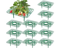 12 Stuks Aardbeiensteun - Aardbeienrek voor Balkon, Bescherming tegen Stof en Slakken, Veiligheid voor Aardbeienplanten