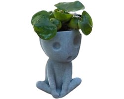 12,5 cm Grappige Resin Plantenpot met Drain Gaten - Luminous Face Succulent Pot voor Vetplanten - Decoratieve Bloempot voor Binnen en Buiten - Uniek Interieur Accessoire voor Woonkamer en Kantoor