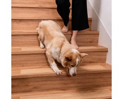 15 stuks - Antislipstrips - Antislipstickers voor trappen - Trapmatten - 10x61 cm - Zelfklevende Anti Slip Strips Met Roller - Antislip vloerstickers - Grip Trap Stickers - Trapprofiel - voor kinderen, ouderen, honden, huisdieren - Transparante