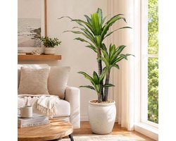 150cm Kunst Dracaena‑plant in pot, natuurgetrouwe bladeren en dikke stammen, staande kunstplant voor binnen en buiten, decoratie voor woonkamer, kantoor en hoeken in huis