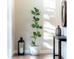 150cm Kunst vijgenbladboom met zwarte kweekpot - kunstplant met natuurlijke houten stam - S-vormige kunstficus voor decoratie woonkamer kantoor thuis