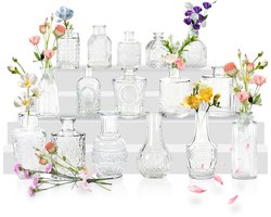 16 stuks kleine vazen voor tafeldecoratie, glazen vaasset mini, kleine glazen vaas, vintage bloemenvazen & knopvazen voor bruiloften, feesten, vieringen Transparant