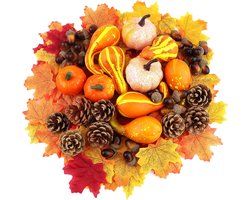 166 stuks Herfst Decoratie set met Pompoenen, Dennenappels, Eikels en Bladeren, Pompoen Decoratie voor Halloween en Thanksgiving, Versiering