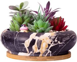 185 cm grote marmeren bonsaipot met drainagebak voor succulente en cactusplanten
