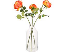 1x Glazen fles vaas/vazen 15,5 x 35 cm transparant 4900 ml - Home deco/woondecoratie vazen - Woonaccessoires
