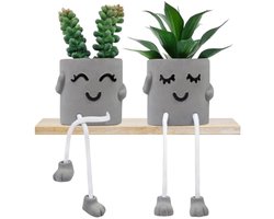 2-delige set kunstplanten voor binnen, bloempot van cement, vetplanten van kunststof, smiley emotion met hangende poten voor kantoor, woonkamer, slaapkamer, badkamer