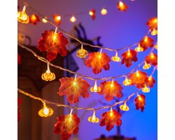 2-Herfst lichtslinger - Esdoornbladeren en pompoenlampjes - Totale lengte 6 meter met 40 LED's en 2 lichtstanden - Halloween en herfstdecoratie voor buiten - Halloween decoratie - Halloween