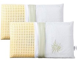 2 Hoofdkussens 40x70 cm 12 cm Laag Rechthoekig 100% Memory Foam Dubbele Voering Aloë Vera en Katoen Uitneembaar Hoofdkussens Ontspannend Tegen Nekklachten Medisch Hulpmiddel