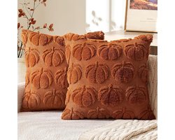 2 kussens kleine pompoen kussens set, kussens set pompoen herfst patroon 45 x 45 cm kussen, moderne herfst decoratie, interieur esthetiek, interieur.