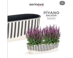 2 Piano bloembakken crème antraciet 8L Serinova vensterbank balkonbakken plantenbak 51cm UV bestendig