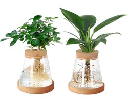 2 stks Desktop Plant Propagation Station Terrarium Glazen Planter Vaas met Kurk Deksel en Bamboe Stand voor Groeiende Aquaponic Hydrocultuur Home Office Desktop Decor Tuinieren Geschenken 9,5 cm H *