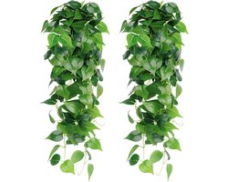 2 stuks groene dille bladeren hangplanten voor natuurlijke wanddecoratie