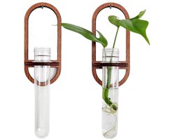 2 stuks-Hydroponische vaas - Wandvaas - Reageerbuisrek - Hangvaas - Woondecoratie - Geschikt voor woonkamer, kantoor, eetkamer - Transparant - 14*2.5 cm
