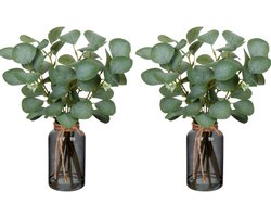 2 stuks kunstmatige eucalyptus takken met zwarte glazen vaas, 35CM eucalyptus plastic plant eucalyptus kunstplanten decoratie zilveren dollar voor bruiloft tafeldecoratie kantoor woonkamer keuken