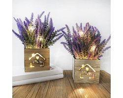 2 stuks kunstplant met ledlampjes in houten kist 11 x 9 x 26 cm voor thuis kantoor bureau keukendecoratie Valentijnsdag Moederdag