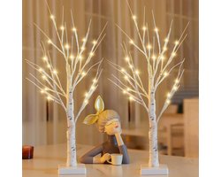 2 Stuks LED Berkboom Lichten, Batterijgevoed Tafelblad Bonsai Licht, 24 LED's Warm Wit voor Decoratie