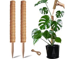 2 Stuks mosstokken - Klimpergola voor planten - Kokospalmstokken - 40cm - Steunpaal - Monstera plantenstandaard - Voor klimplanten - Accessoires voor binnen - Tuinstandaard - Stapelbare mosstokken - Steunpaal voor planten - Potplanten - Kokosn