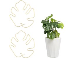 2 Stuks - Plantenstengelsteunen - Kamerplanten - Monstera-ondersteuning - Bladplantenstandaard - Monstera Plant Support - Support Poles for Indoor Plants - Herbruikbare accessoires - Goud