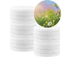 20 Stuks 2.5 Inch Witte Ronde Vlakke Stenen, Grote Gladde Kiezels voor Schilderen, Mandala en Vriendelijkheid Stenen voor Creatieve Projecten en Kunsthandwerk