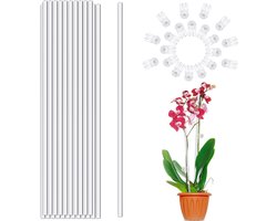 20 Stuks Doorzichtige Plantensteunen 40 cm - Acryl Plantpalen voor Orchideeën, Tomaten en Binnenplanten