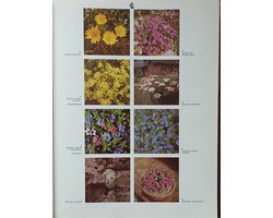 2000 Tuin/Kas en Kamerplanten in Kleur
