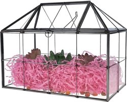 23cm grote geometrische terrarium plantenbak, huisvorm zwarte handgemaakte glazen doos, vintage tafelblad miniatuur bloempot voor vetplanten, cactussen, luchtplanten (zwarte huisvorm)