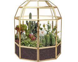 23cm grote geometrische terrarium plantenbak, vogelkooivorm, handgemaakte glazen doos, vintage tafelblad, miniatuur bloempot voor vetplanten, cactussen (gouden)