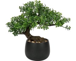 25 cm kunstplant bonsai boom keramische pot esthetische Japanse decoratie woonkamer slaapkamer badkamer vensterbank decoratie - podocarpus kunstbonsai