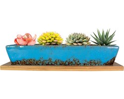 25cm Ceramic Succulent Planter Pots Modern Long Rectangular Flower Plant Containers with Tray Shallow Cactus Bonsai Window Tray with Drainage for Indoor/Outdoor Home Decoration (Blue)