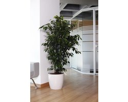 2st luxueuze rond sierpotten Witte Smartpot 'Ruby' Bloempot met drainage 7.4L plantenpot