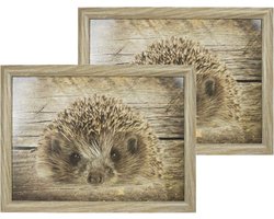 2x Schootkussens/laptrays egel print 43 x 33 cm - Schoottafels - Dienbladen voor op schoot