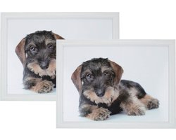 2x Schootkussens/laptrays teckel print 43 x 33 cm - Schoottafels - Dienbladen voor op schoot teckel