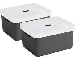 2x Sunware opbergbox/mand/kist van 32 liter antraciet grijs kunststof met transparante deksel - 45 x 35 x 24 cm