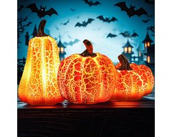 3 delig Herfst Decoratie met LED - Herfst Halloween - vintage Halloween - Pompoen